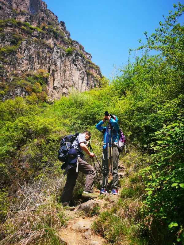 微信图片_201905051037161