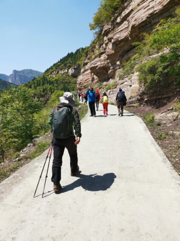 微信图片_201905051037166