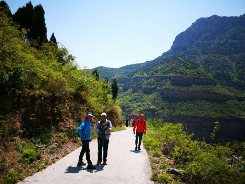 微信图片_201905051037167