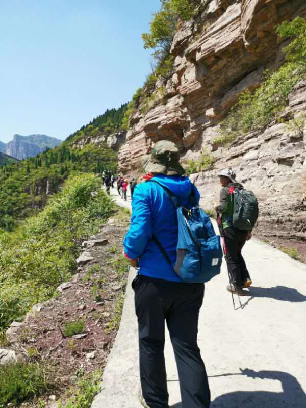 微信图片_201905051038471