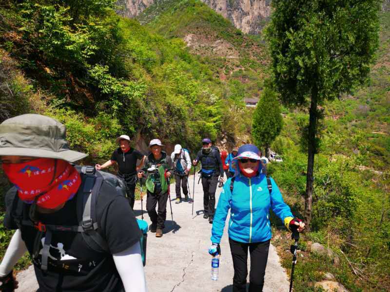 微信图片_201905051038472