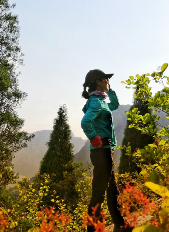 微信图片_201905051038476