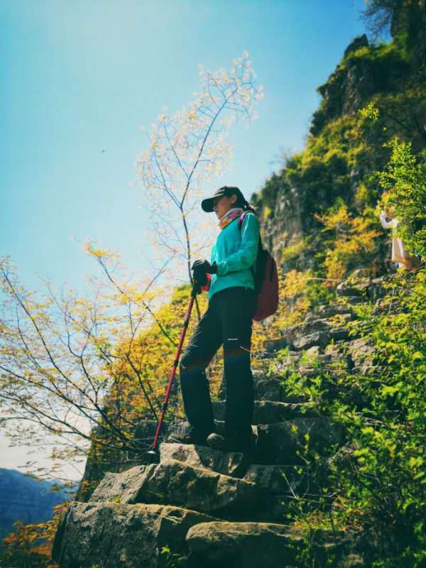 微信图片_201905051038479