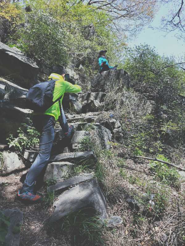 微信图片_201905051040075