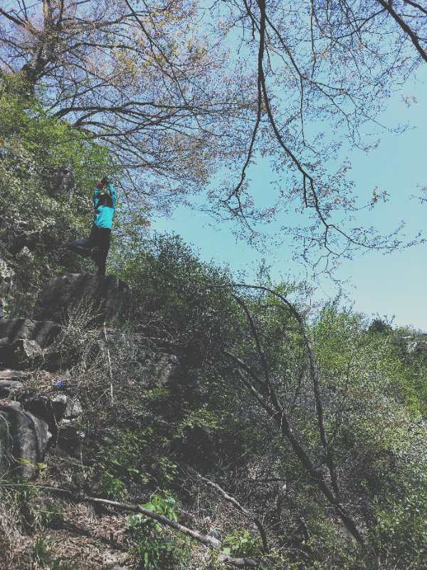 微信图片_201905051040076