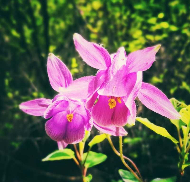 微信图片_201905051040079