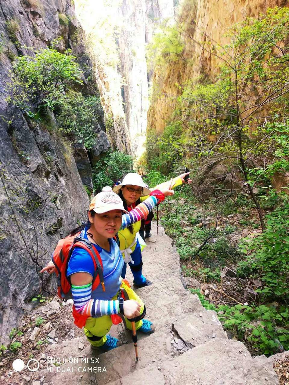 微信图片_201905051042086