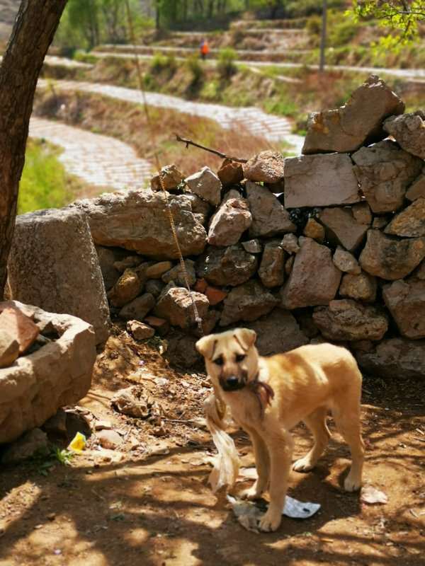 微信图片_201905051042087