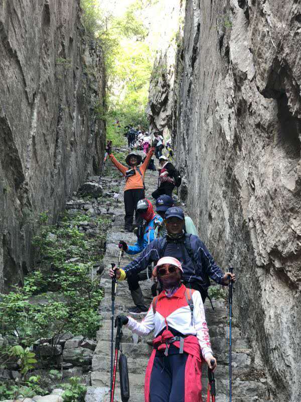 微信图片_201905051045171