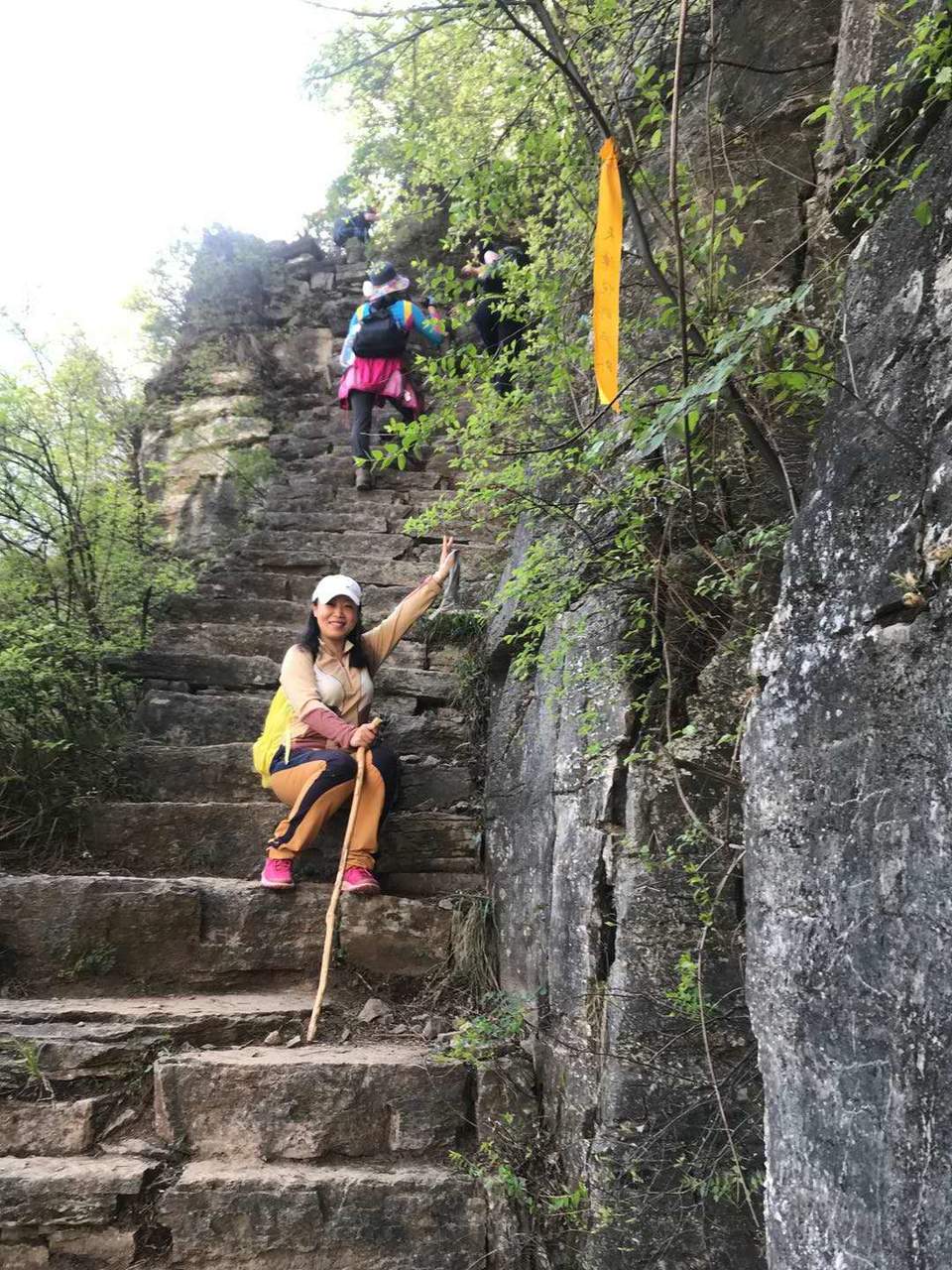 微信图片_201905051045176