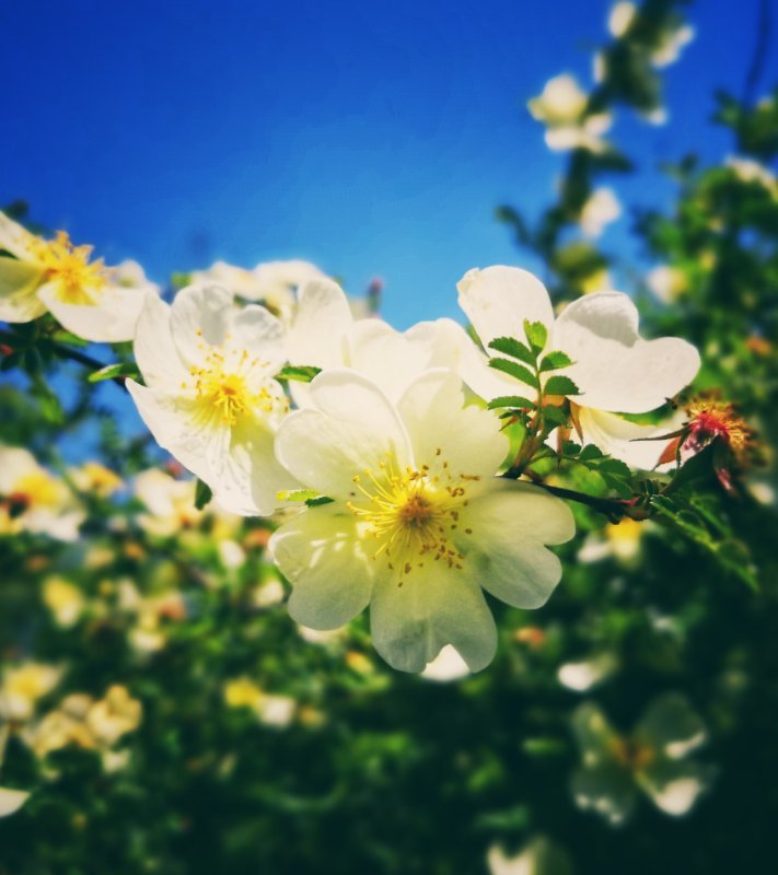 微信图片_2019050510400710