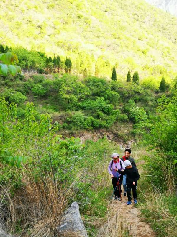 微信图片_2019050510420817