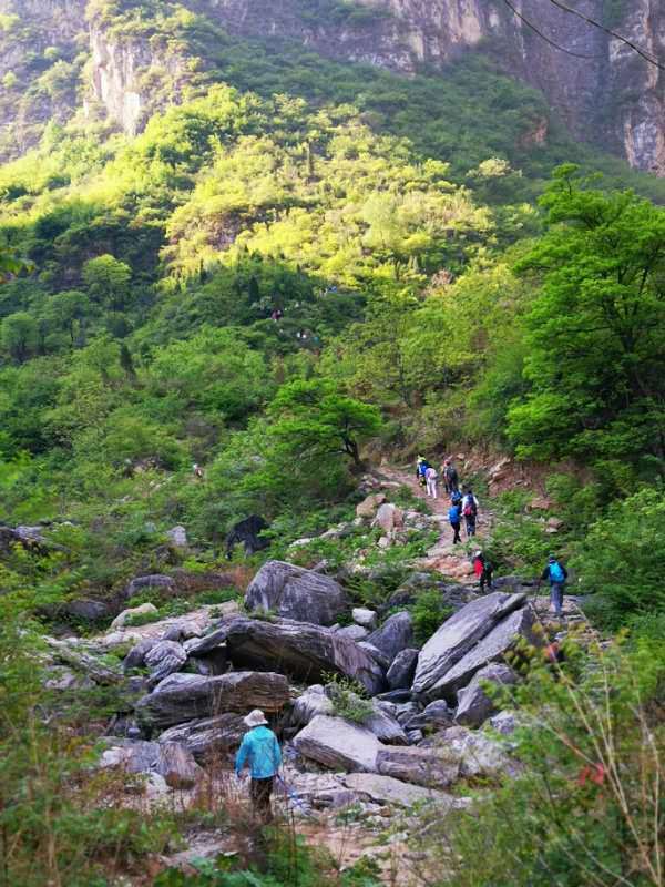 微信图片_2019050510420818