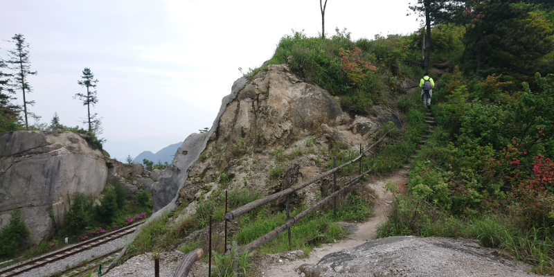 微信图片_20190505114012