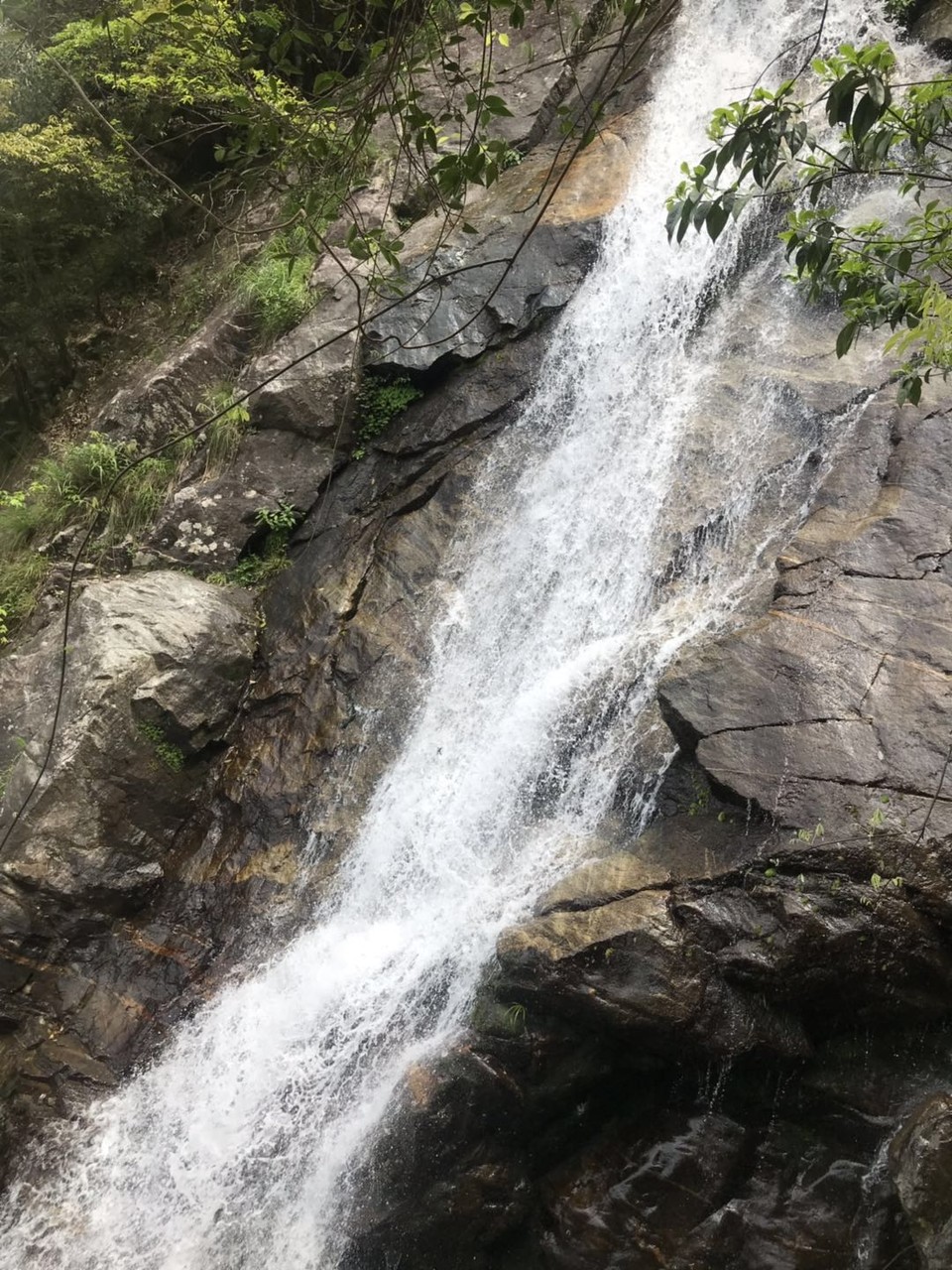 微信图片_20190505114543