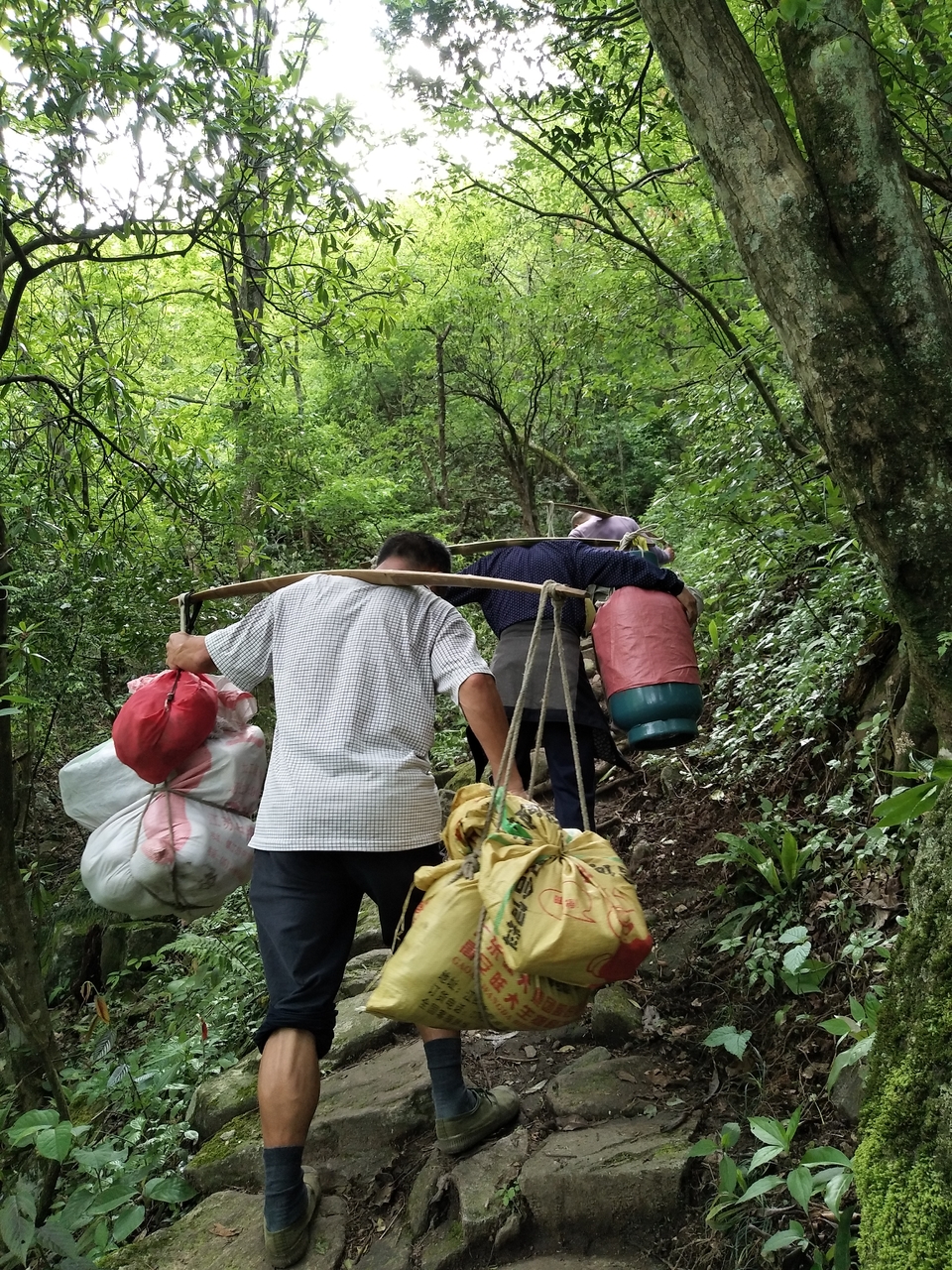 微信图片_20190505114544