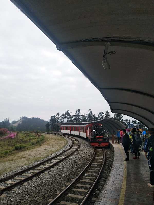 微信图片_201905051140122