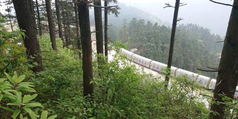 微信图片_201905051140125