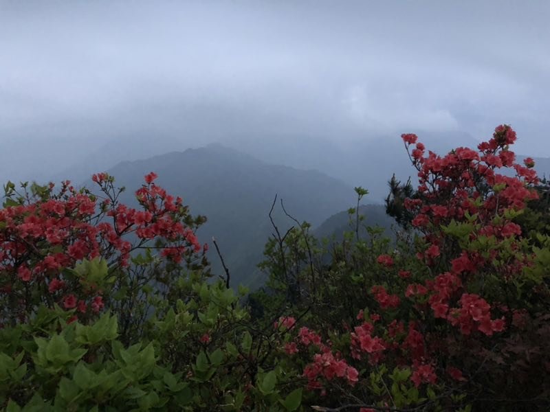 微信图片_201905051140126