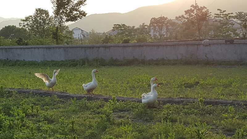 微信图片_201905051142481