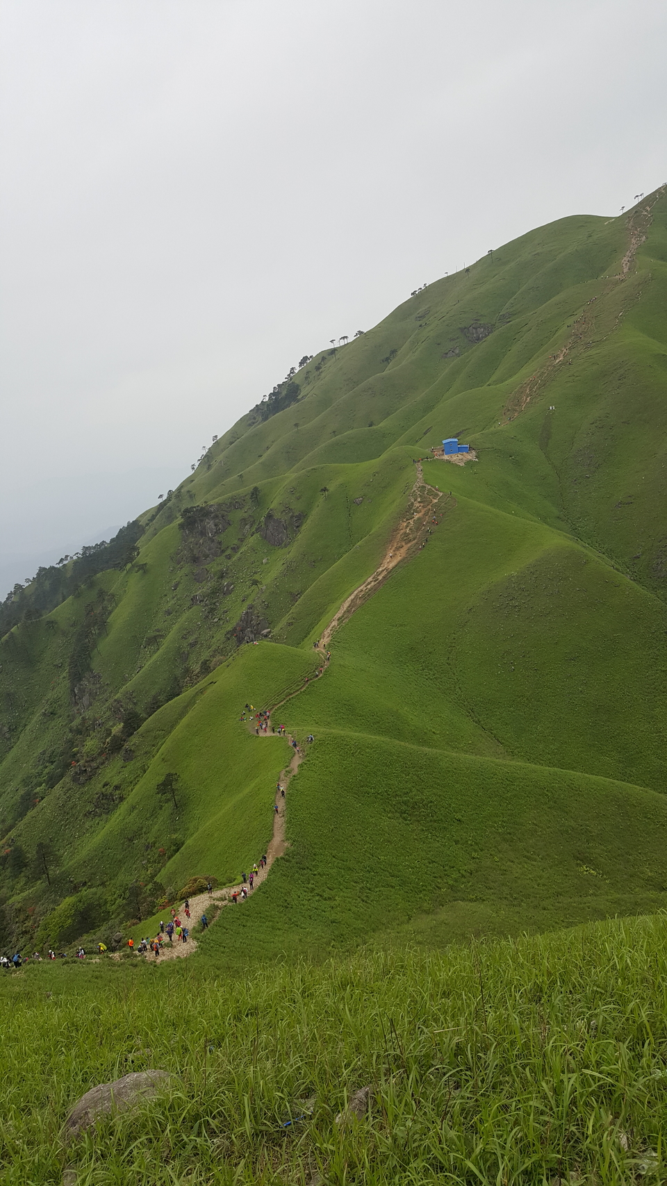 微信图片_201905051142492