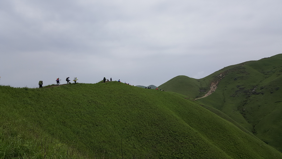 微信图片_201905051142493