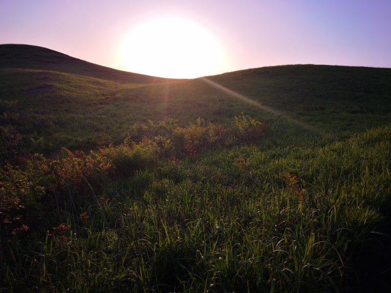 微信图片_201905051142496