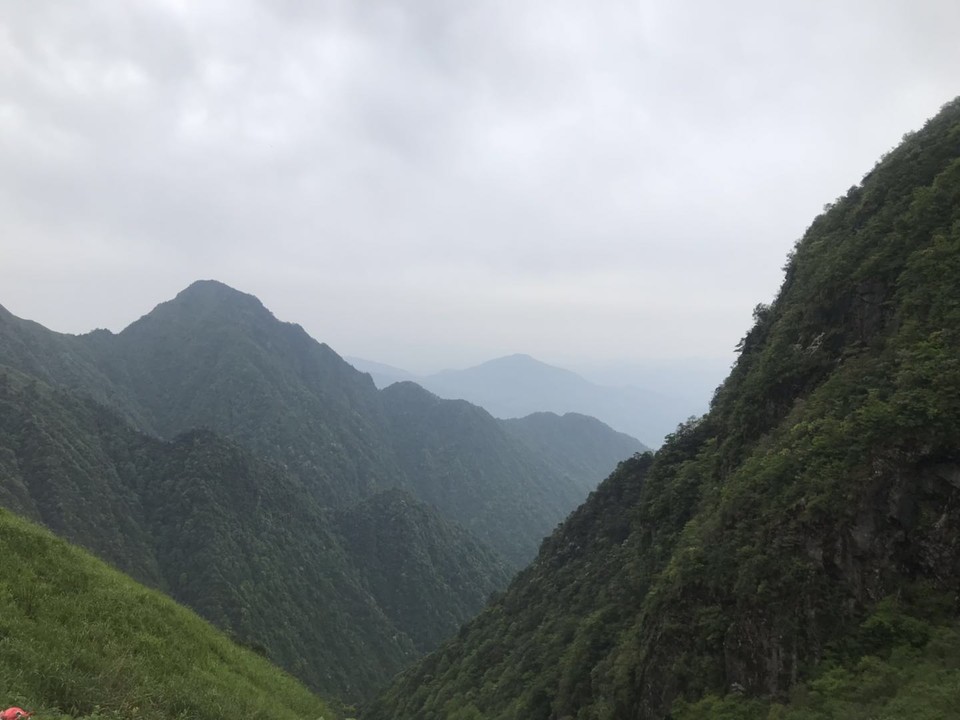 微信图片_201905051145432