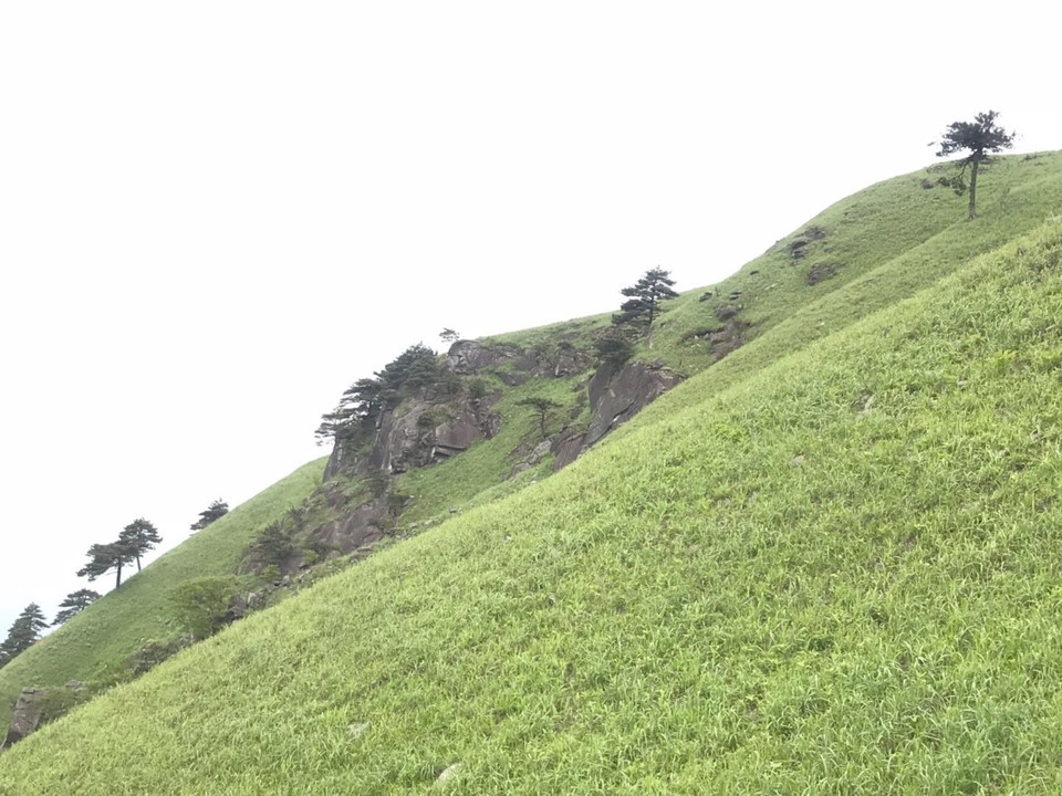 微信图片_201905051145433