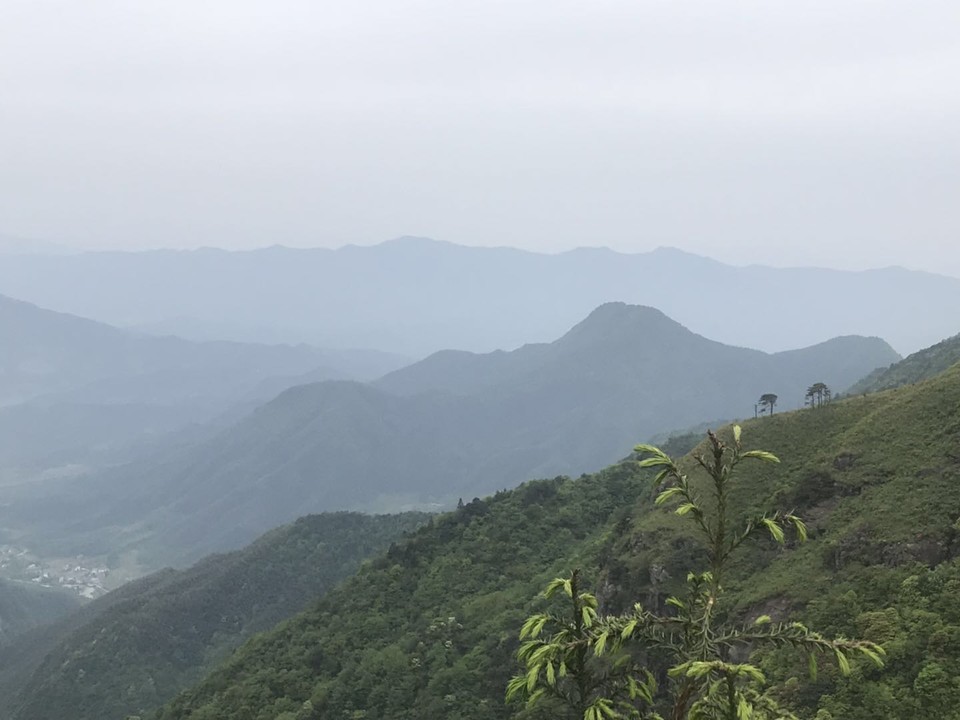 微信图片_201905051145435