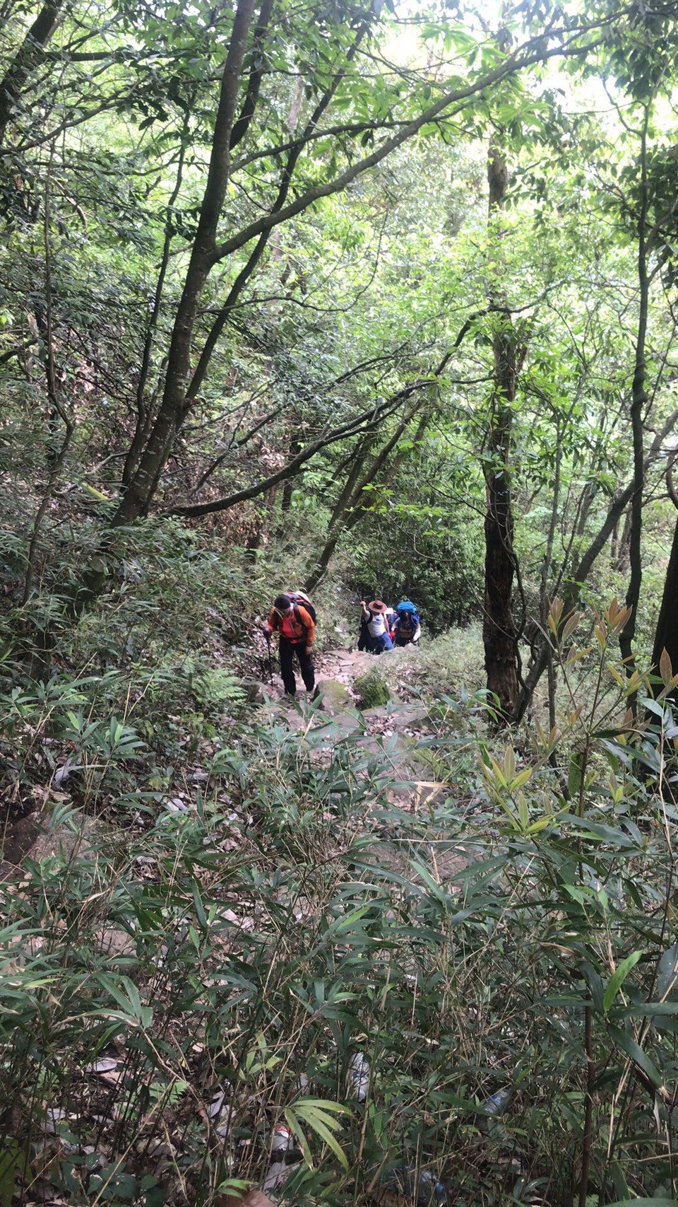 微信图片_201905051145436