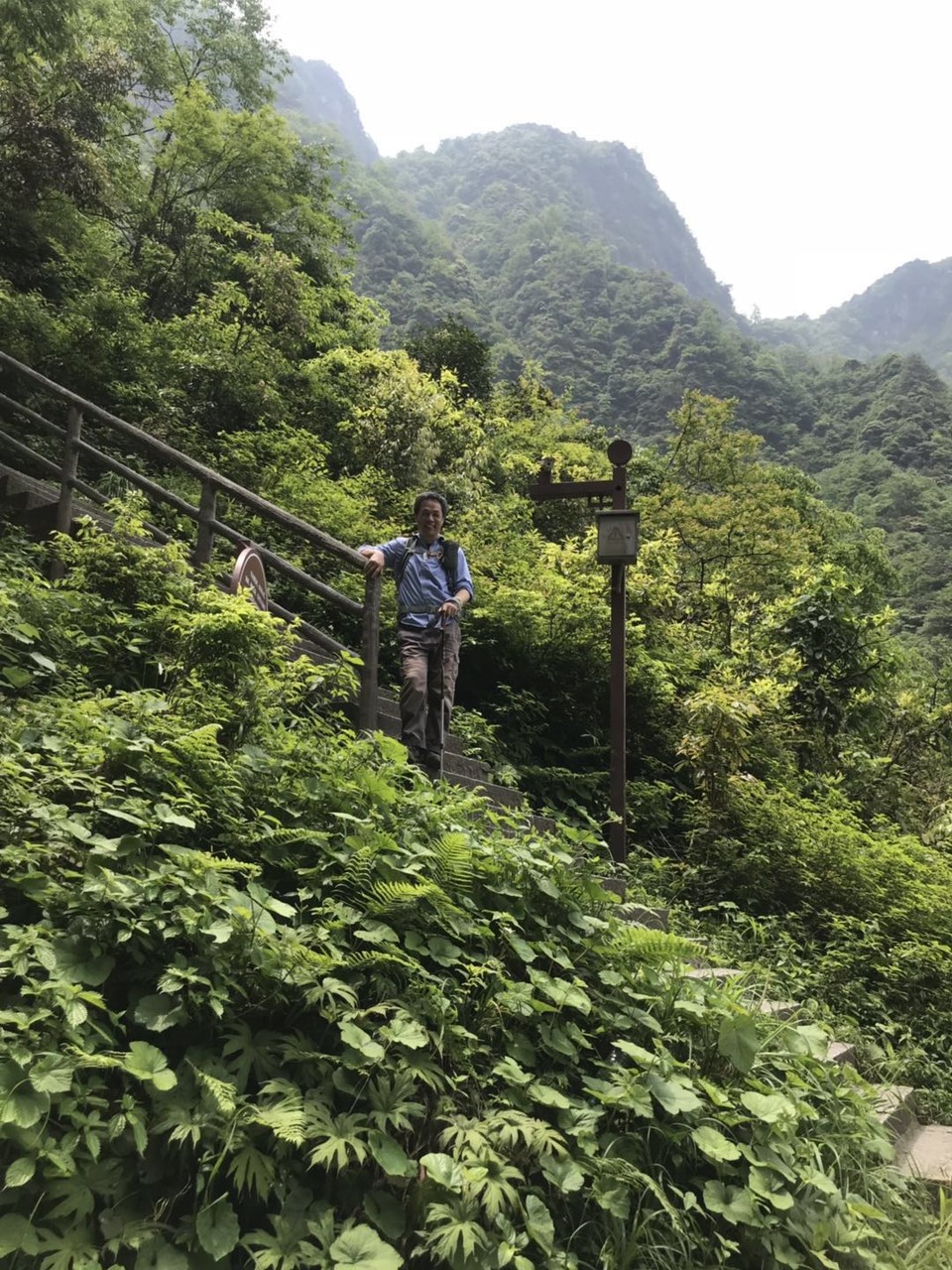 微信图片_201905051145437