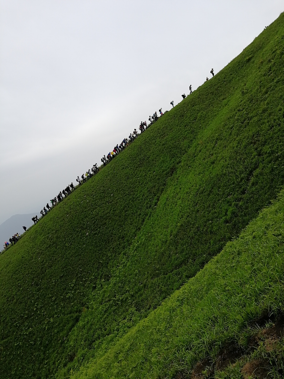 微信图片_201905051145439