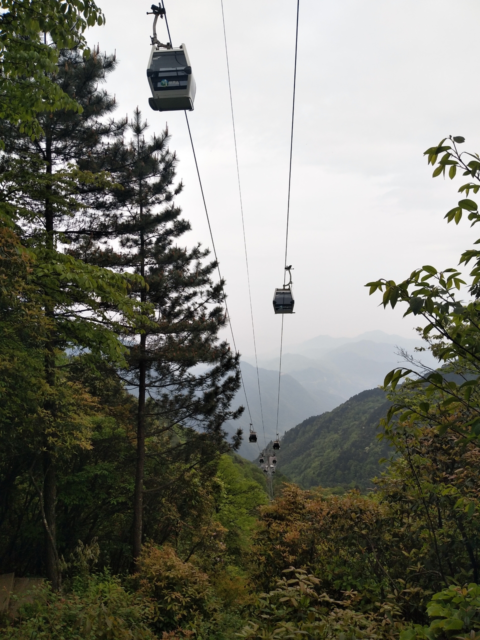 微信图片_201905051145443