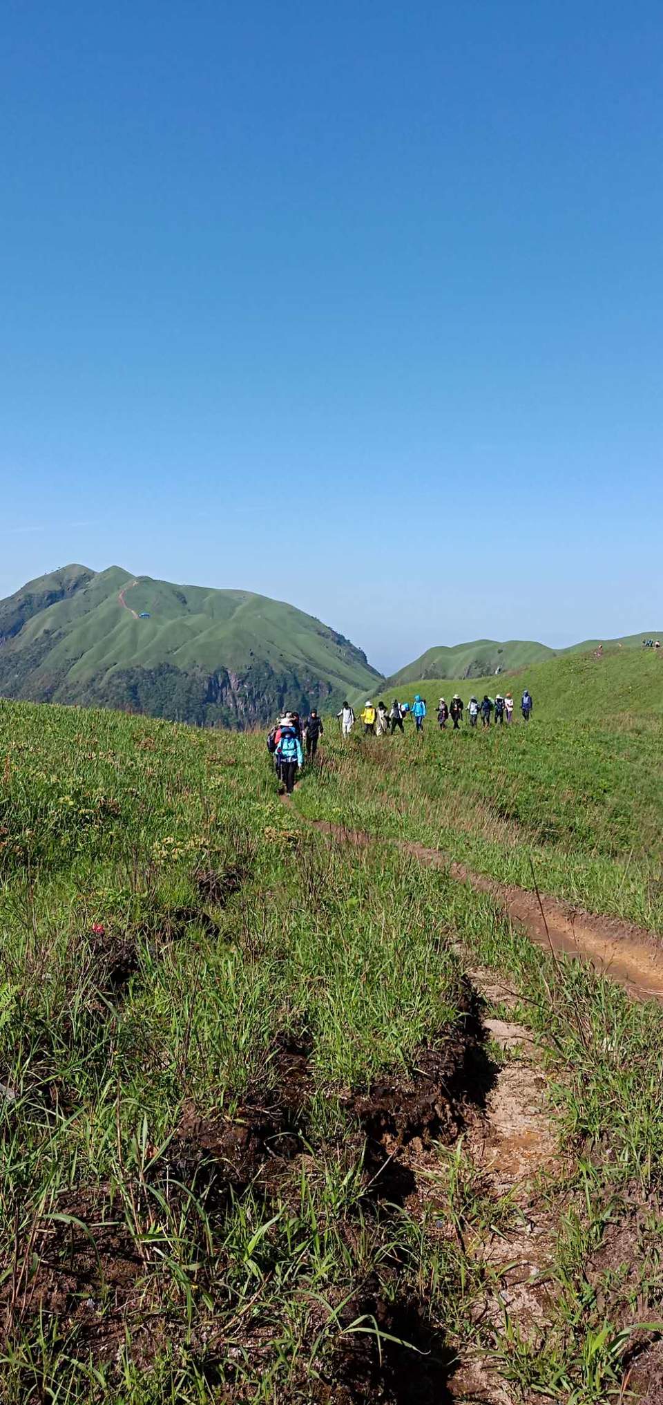 微信图片_201905051145447