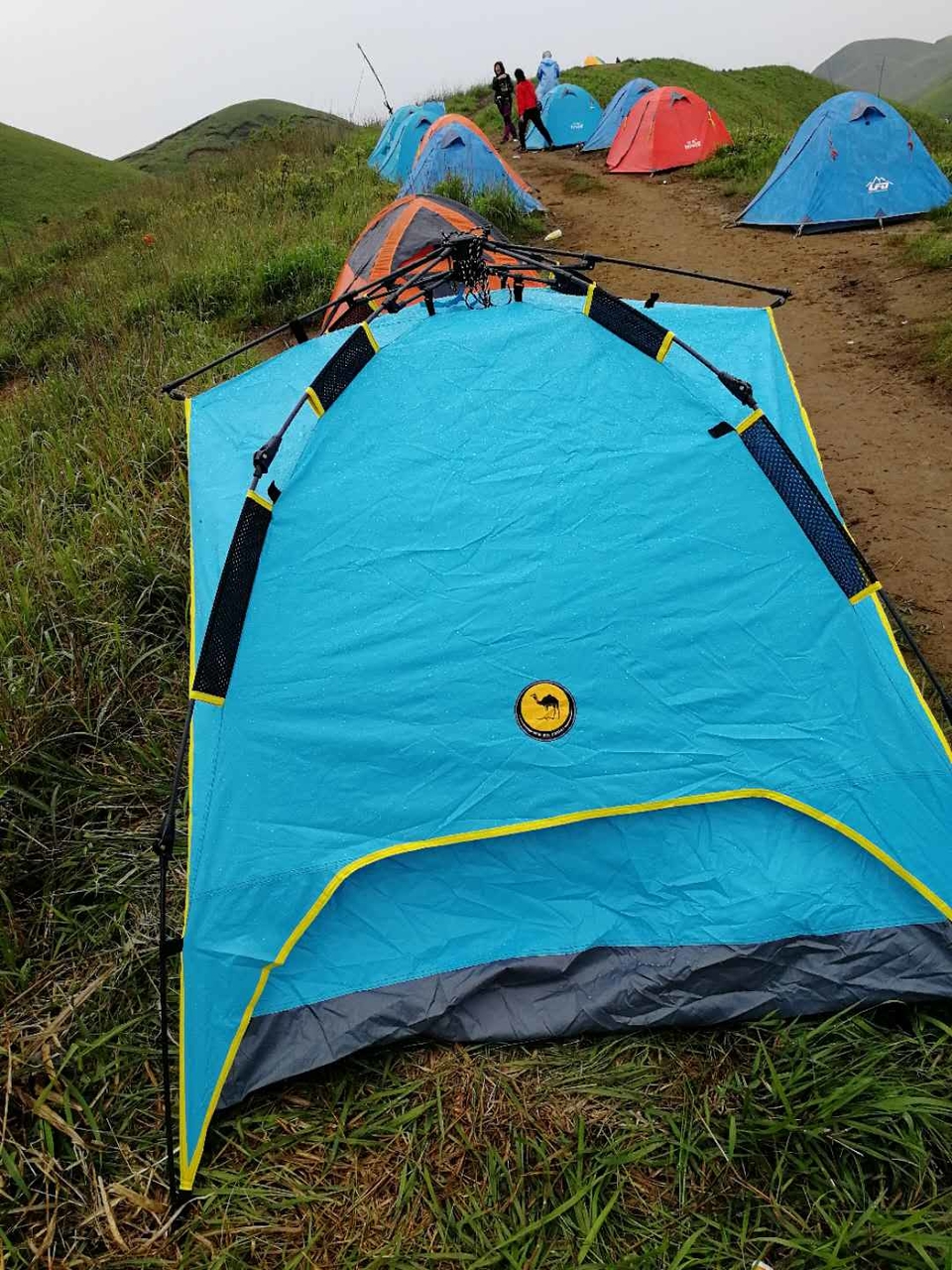 微信图片_2019050511401220