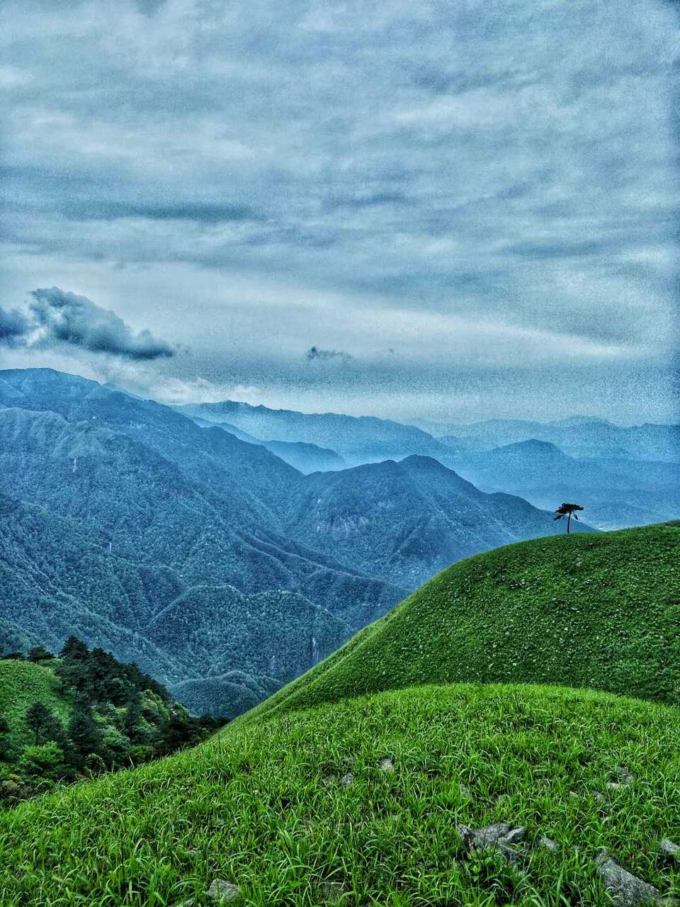 微信图片_2019050511401228