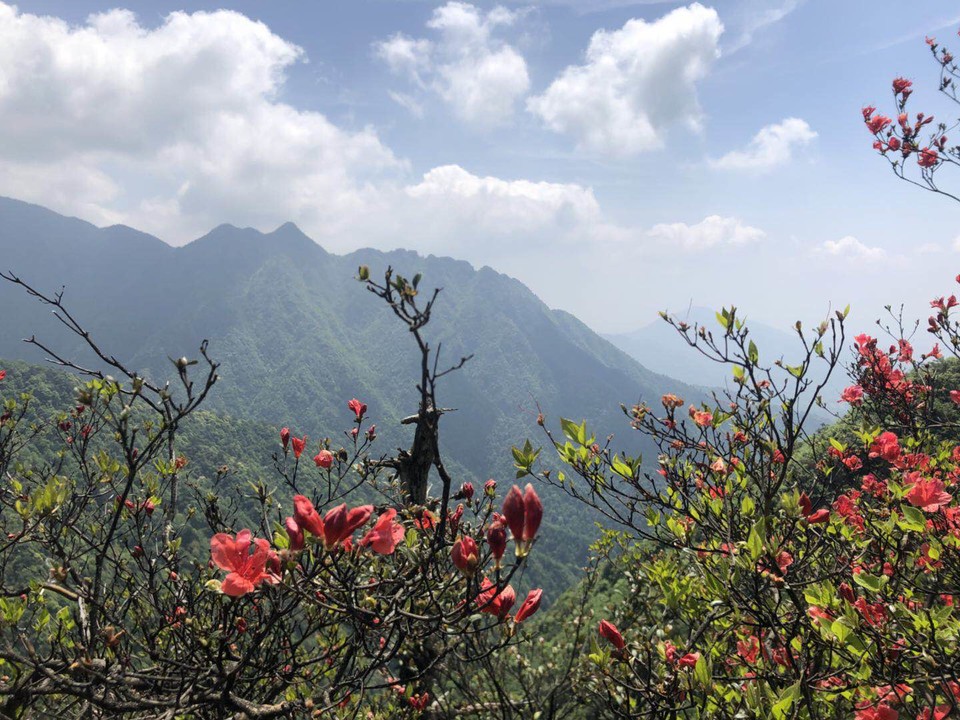 微信图片_2019050511401229