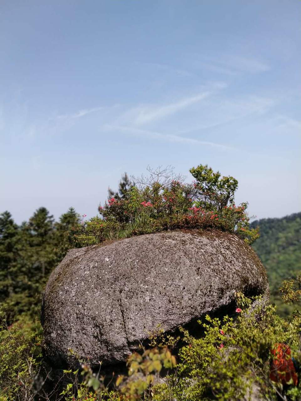 微信图片_2019050511401231