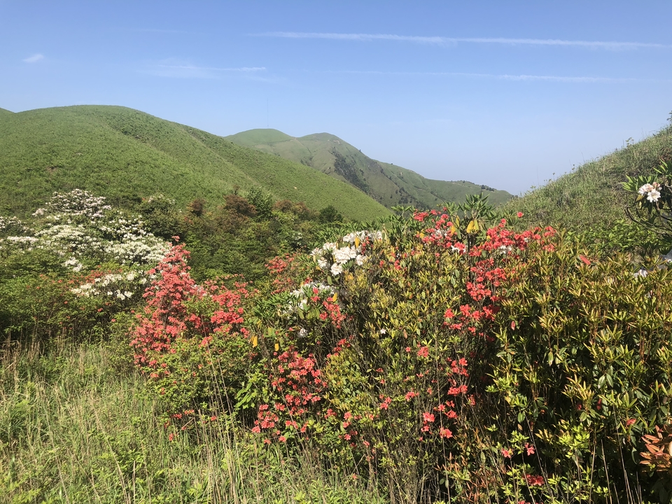 微信图片_2019050511401233