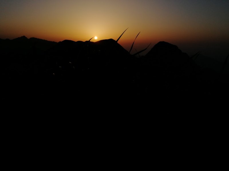 微信图片_2019050511401237