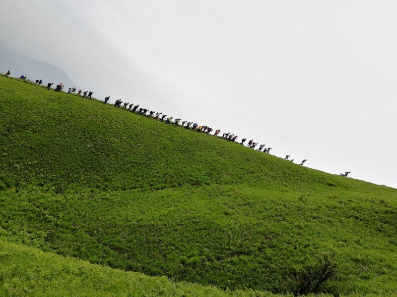 微信图片_2019050511401240
