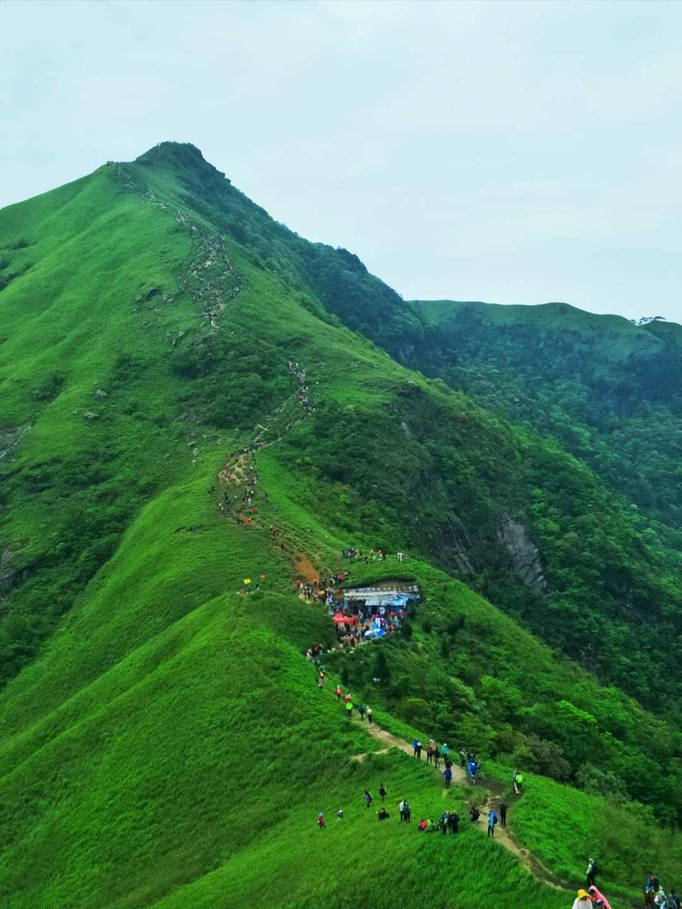 微信图片_2019050511401241