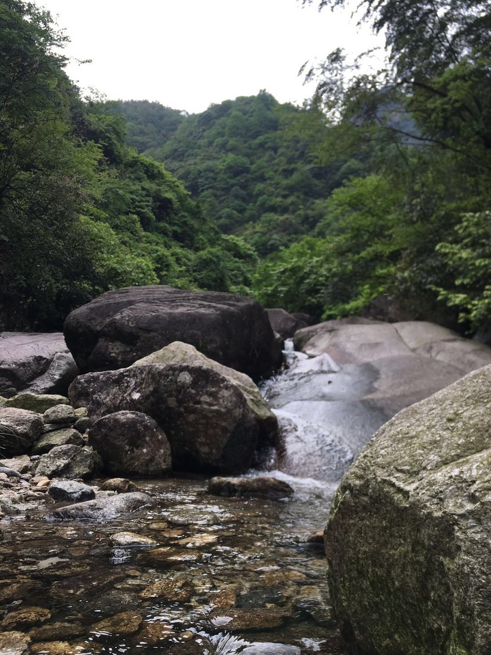 微信图片_2019050511401247