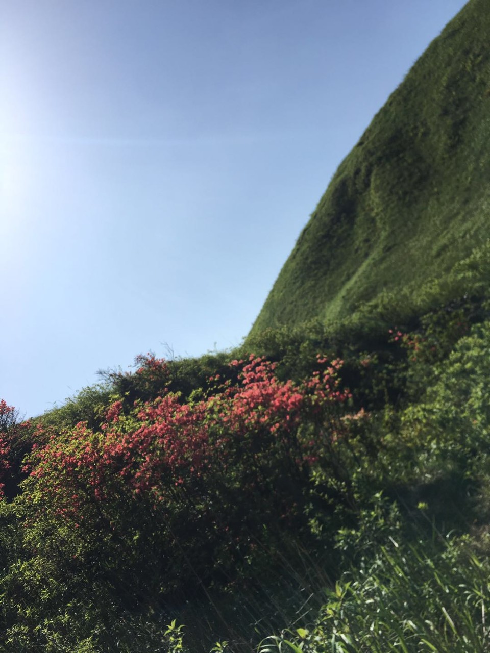 微信图片_2019050511401249