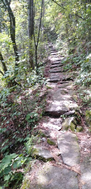 微信图片_2019050511401260