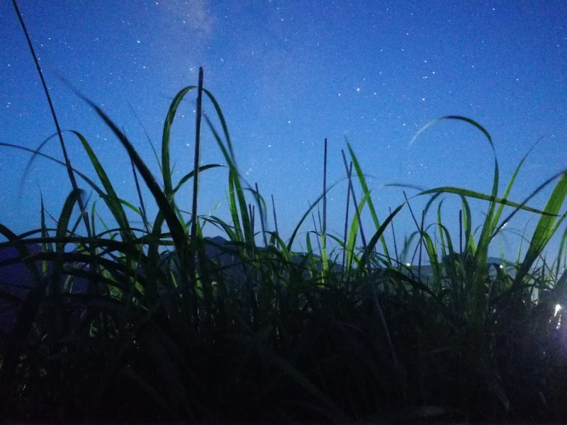 微信图片_2019050511401276