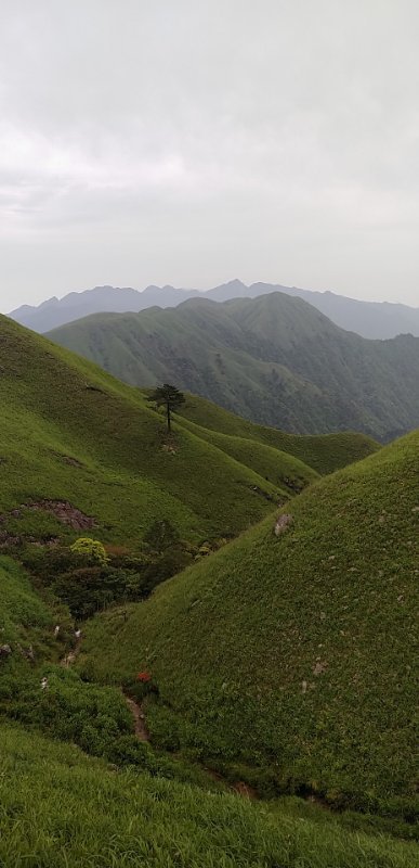 微信图片_2019050511401288
