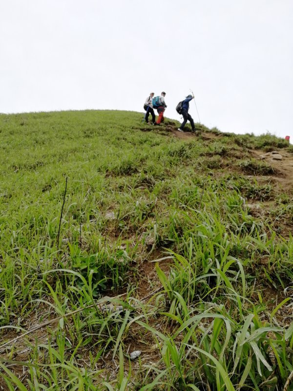微信图片_2019050511401289