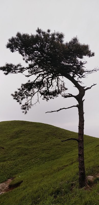 微信图片_2019050511401290